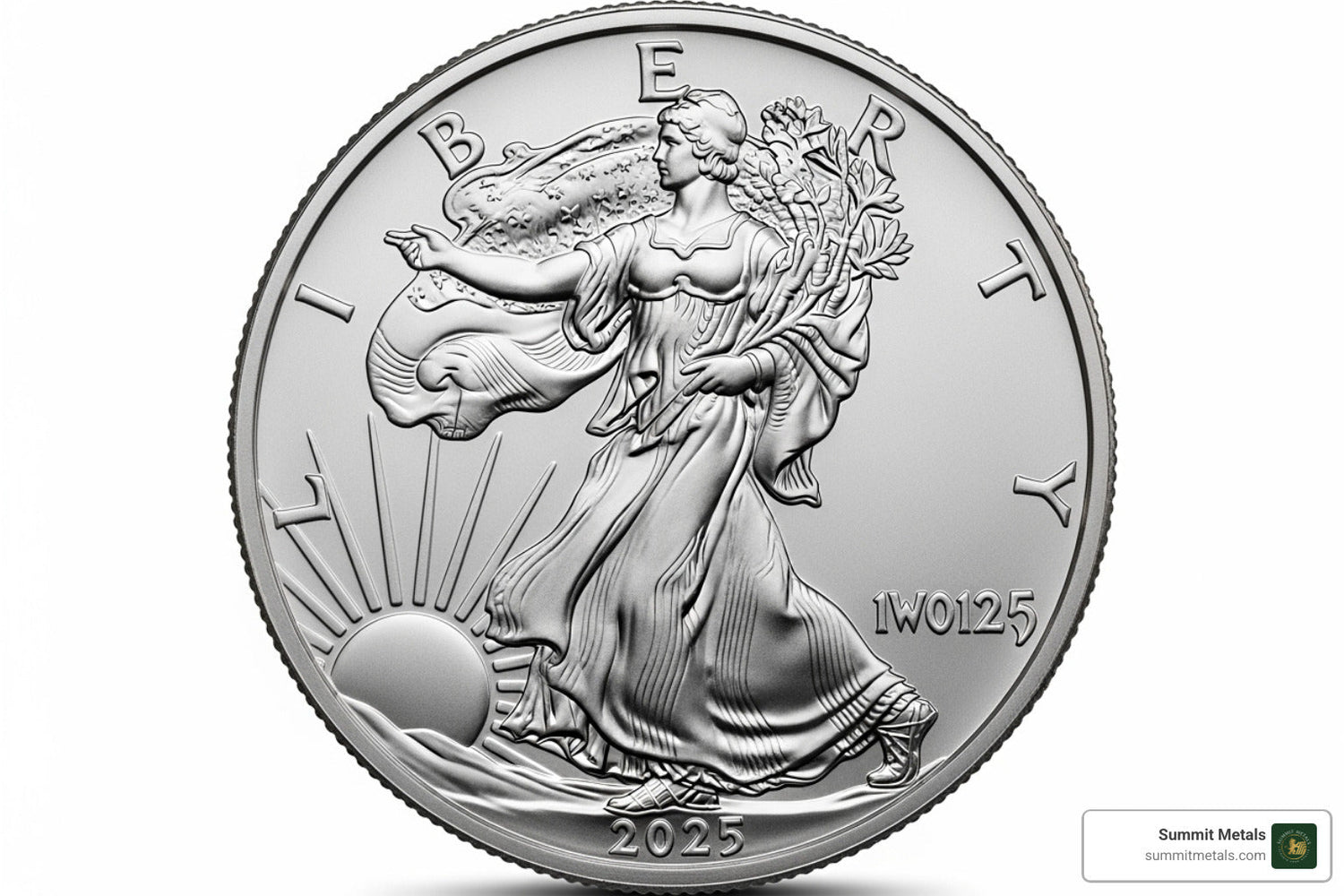 Silver Dreams Ahead – Your Guide to 2025 1 oz Fine Silver Dollars