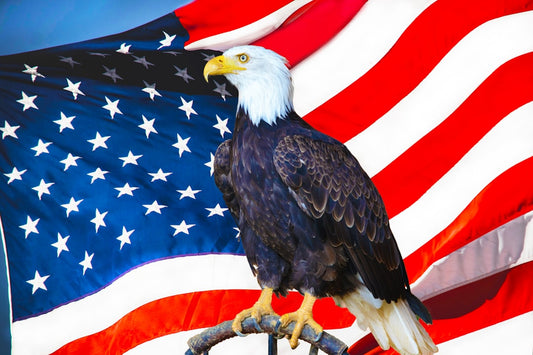 Your Local American Eagle: Shop Deals and Find a Store