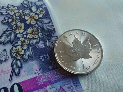 Collecting Canadian Coins: A Buyer's Handbook for Every Budget