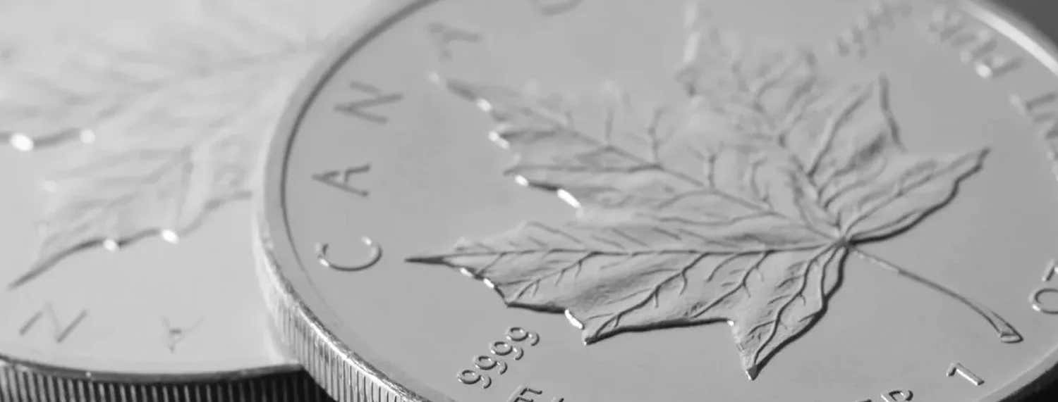 Canadian Silver Maple Leaf Coin