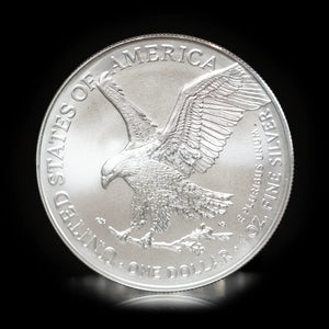 1 oz American Silver Eagle