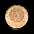 20 Peso Mexican Gold Coin