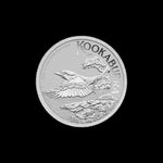 1/10 oz Australia Platinum Kookaburra 2026 Coin