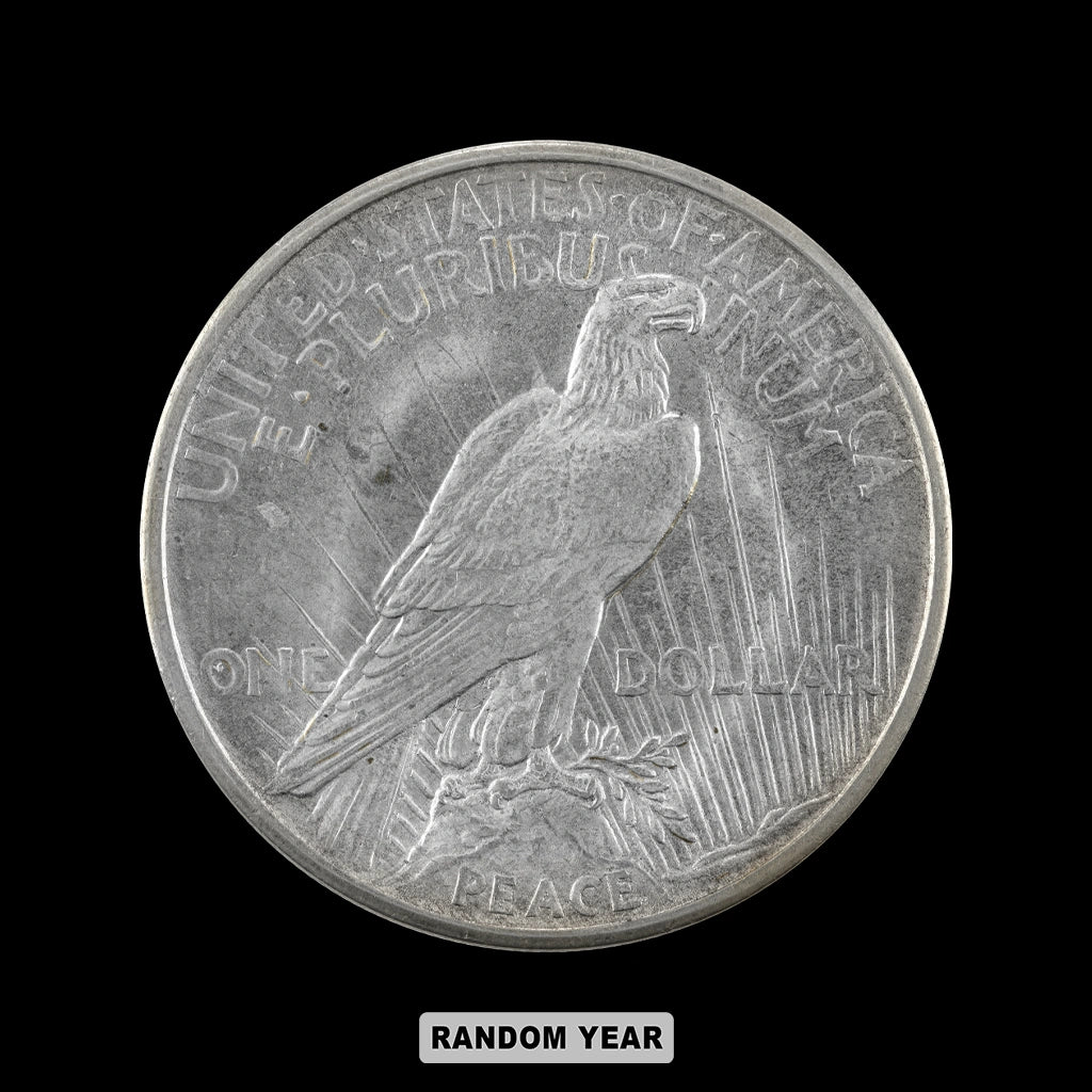 American Silver Peace Dollar Coin