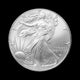 2025 1 oz American Silver Eagle BU