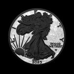 1 oz American Silver Eagle Diamond Dust Black Platinum Ennobled Coin