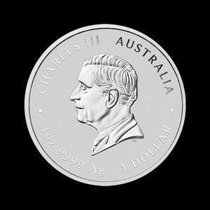 2026 1 oz Perth Mint Lunar Series Silver Horse Coin